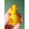 Rubber Ducky Hide
